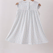 Blue Floral Embroidered Dress