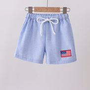 Blue flag embroidery gingham shorts