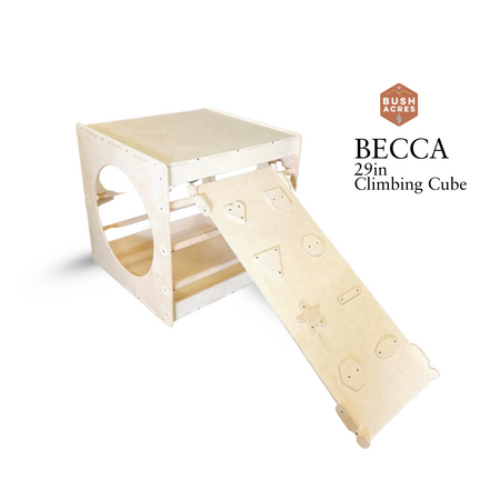 BECCA- 29in Climbing Cube