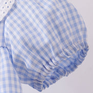Blue Gingham Lace Ruffle Dress