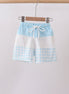 Blue Plaid UPF Swim Trunks