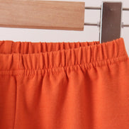 Vintage pumpkin smocked ruffle pants set