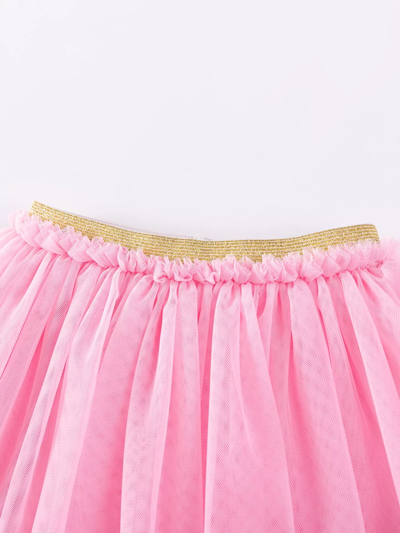 Children's Rainbow Ruffle Sleeve Top and Tulle Skirt Set - Little Janey Shop