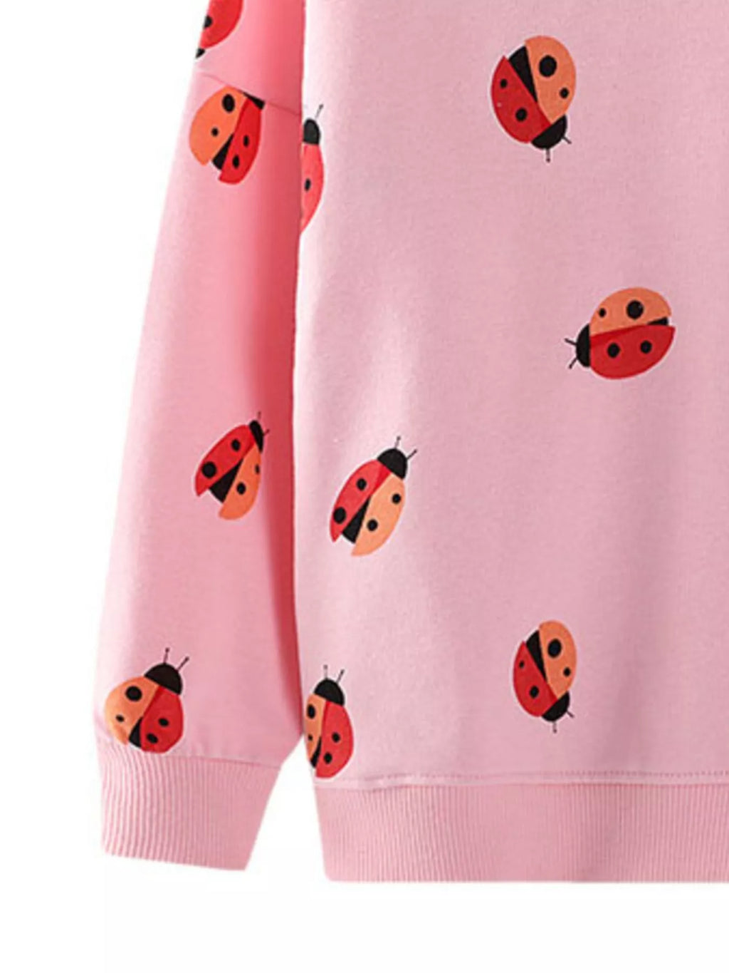 Children's Ladybug Print Crew Neck Sweatshirt - Little Janey Shop