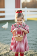 Red Smocked Gingham – Close Up Barnyard